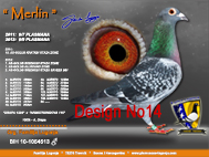 Design No14.jpg

329,65 KB
800 x 600
29.12.2008